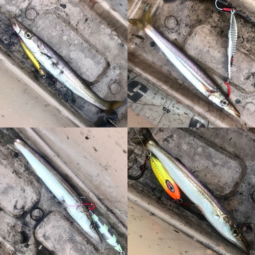 ゴムボート釣り。キジハタ入食い18キャッチ。(SeaWalk Light Jigging 64ML) ゴムボート釣り。キジハタ入食い18キャッチ。(SeaWalk Light Jigging 64ML)