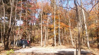 NAPiの森で紅葉を楽しんできました NAPiの森で紅葉を楽しんできました