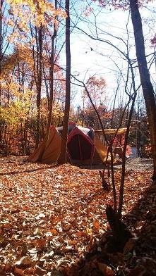 NAPiの森で紅葉を楽しんできました NAPiの森で紅葉を楽しんできました
