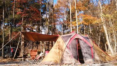 NAPiの森で紅葉を楽しんできました NAPiの森で紅葉を楽しんできました