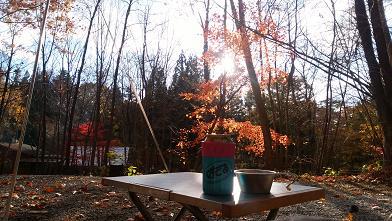 NAPiの森で紅葉を楽しんできました NAPiの森で紅葉を楽しんできました