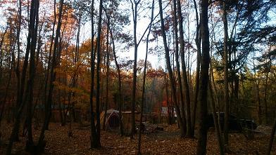 NAPiの森で紅葉を楽しんできました NAPiの森で紅葉を楽しんできました