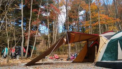 NAPiの森で紅葉を楽しんできました NAPiの森で紅葉を楽しんできました