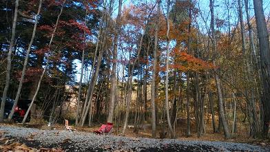 NAPiの森で紅葉を楽しんできました NAPiの森で紅葉を楽しんできました