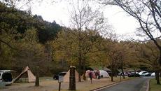葉桜も良いもんだ～松田川ダムふれあい広場オートキャンプ場