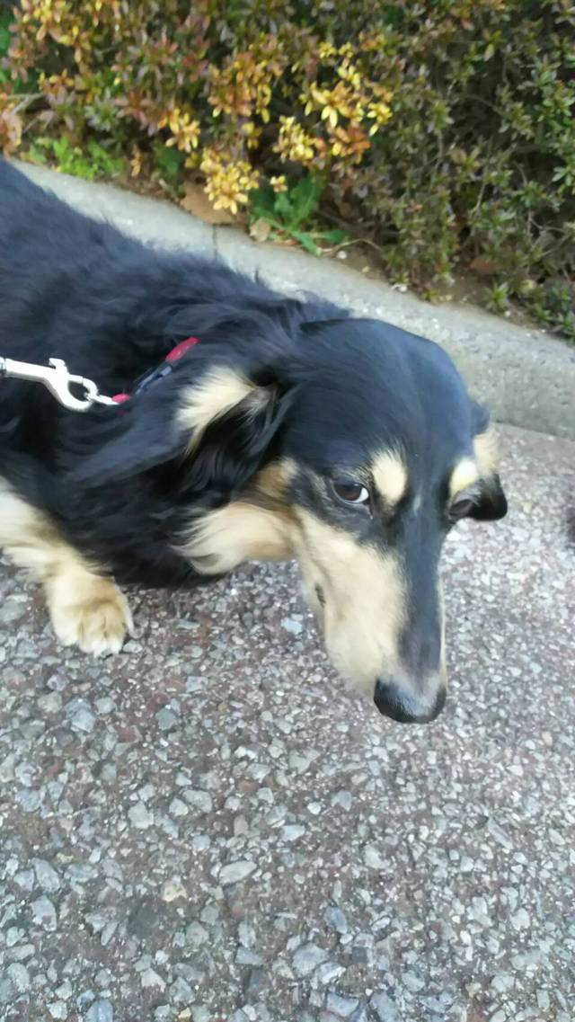 無題 無題