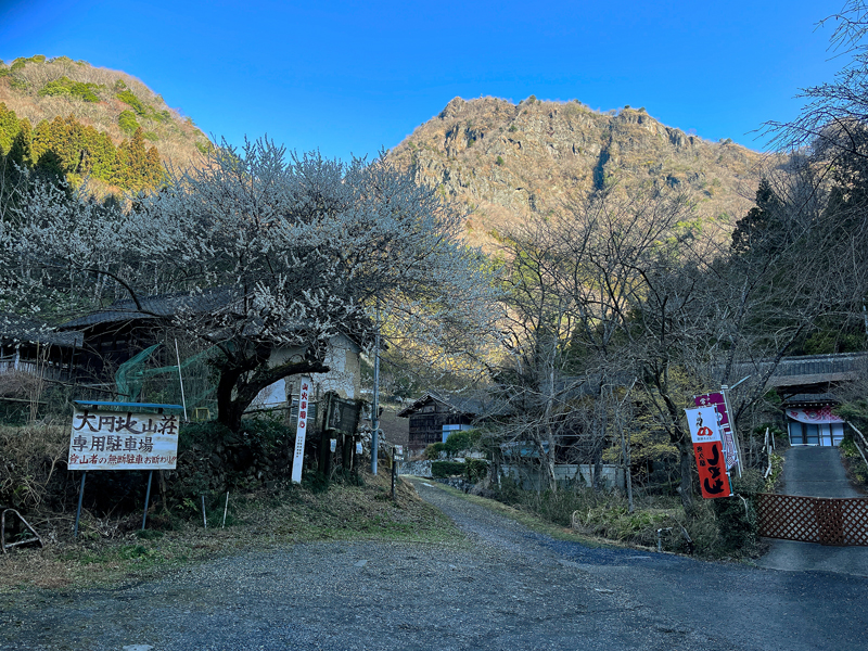 画像をクリックすると別ウィンドウで拡大画像が表示できます 令和5年3月上小川LP#20