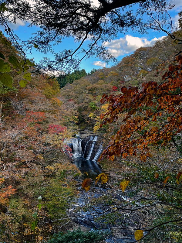 画像をクリックすると別ウィンドウで拡大画像が表示できます 令和3年11月上小川LP#04