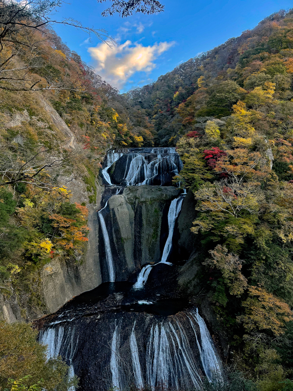 画像をクリックすると別ウィンドウで拡大画像が表示できます 令和3年11月上小川LP#06