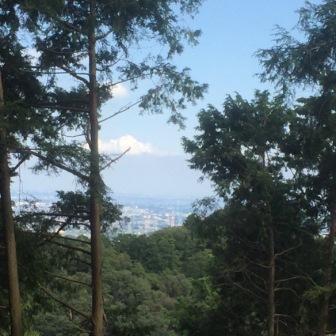 山歩き　物見山～日和田山