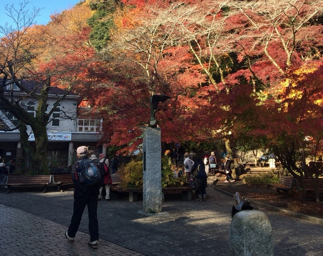 平日、秋の高尾山! 平日、秋の高尾山!