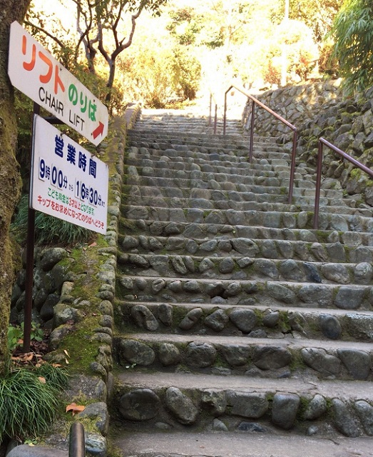 平日、秋の高尾山! 平日、秋の高尾山!