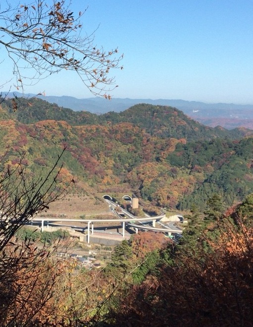 平日、秋の高尾山! 平日、秋の高尾山!