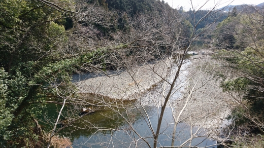 カフェ カフェ
