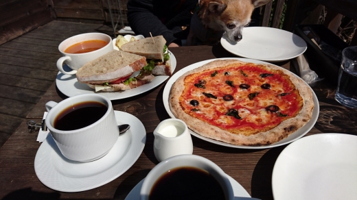 カフェ カフェ