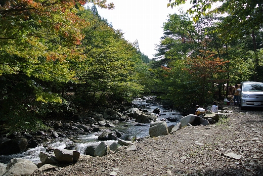 初秋の道志の森 初秋の道志の森