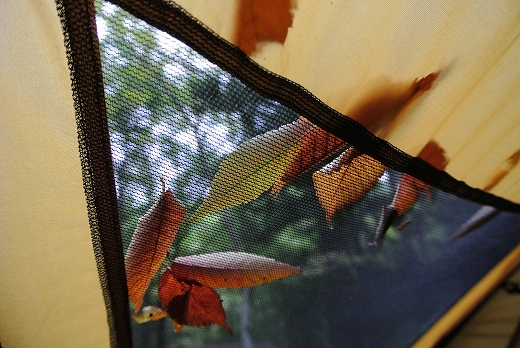 初秋の道志の森 初秋の道志の森