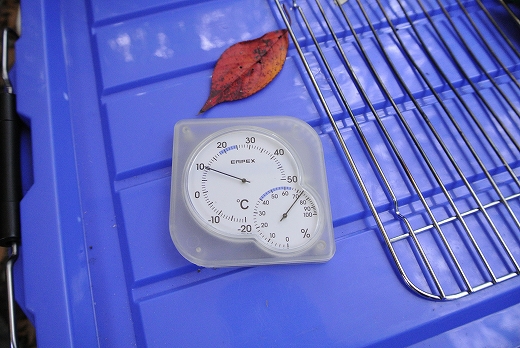 初秋の道志の森 初秋の道志の森