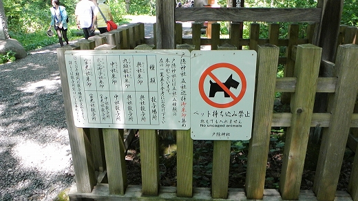 戸隠神社 戸隠神社
