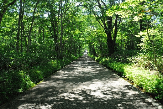 戸隠神社 戸隠神社
