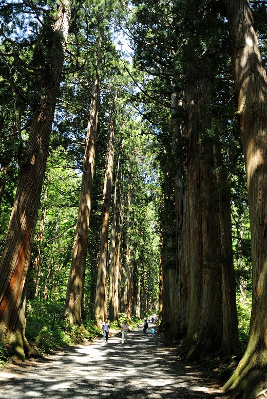 戸隠神社 戸隠神社