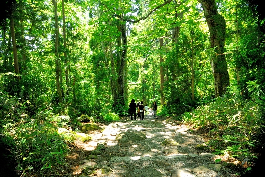 戸隠神社 戸隠神社