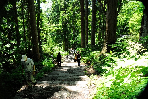 戸隠神社 戸隠神社