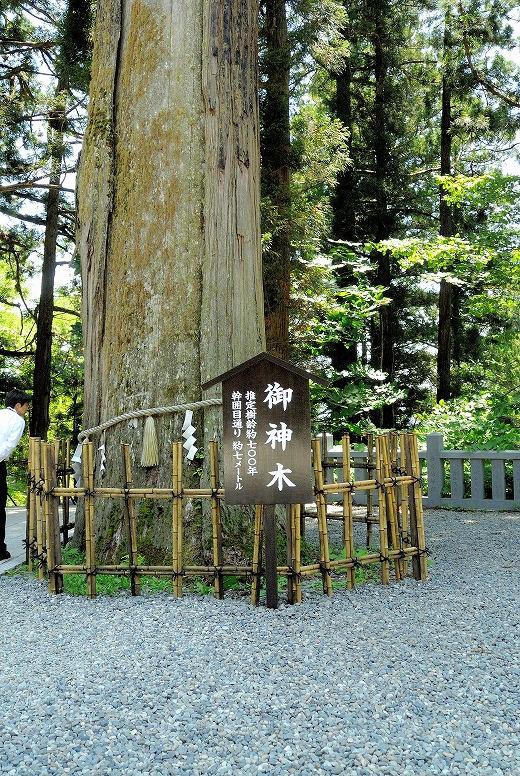 戸隠神社 戸隠神社