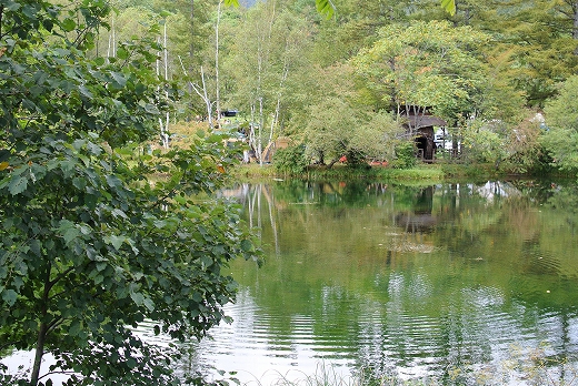駒出池キャンプ場 駒出池キャンプ場