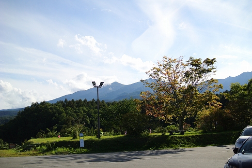 駒出池キャンプ場 駒出池キャンプ場