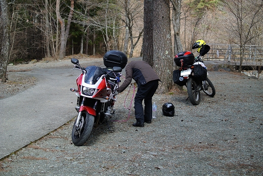 ラーツー或いはデイキャンの様な なにか ラーツー或いはデイキャンの様な なにか