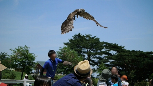 おでかけ おでかけ