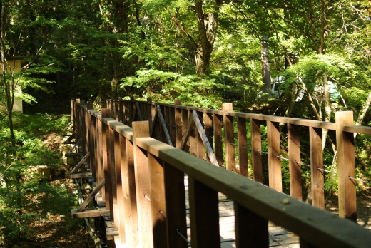 道志の森 晴れキャンプ 道志の森 晴れキャンプ