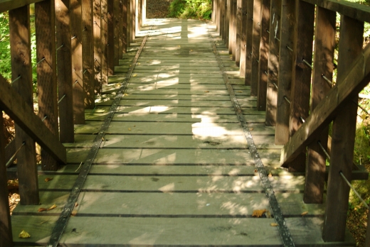 道志の森 晴れキャンプ 道志の森 晴れキャンプ