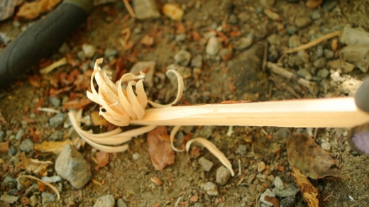 道志の森 晴れキャンプ 道志の森 晴れキャンプ