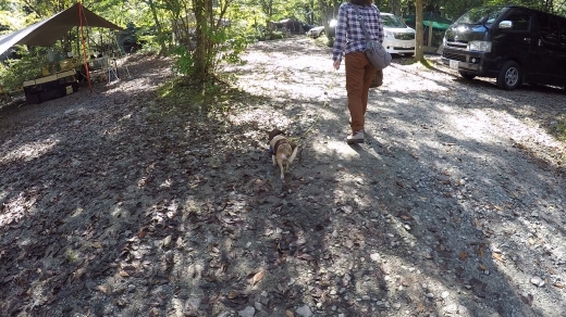 道志の森 晴れキャンプ 道志の森 晴れキャンプ