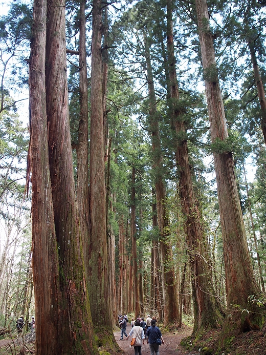 戸隠神社 戸隠神社