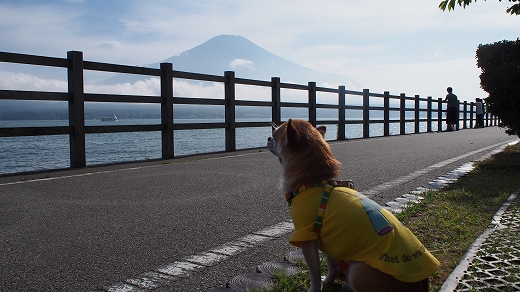 富士山一周 富士山一周