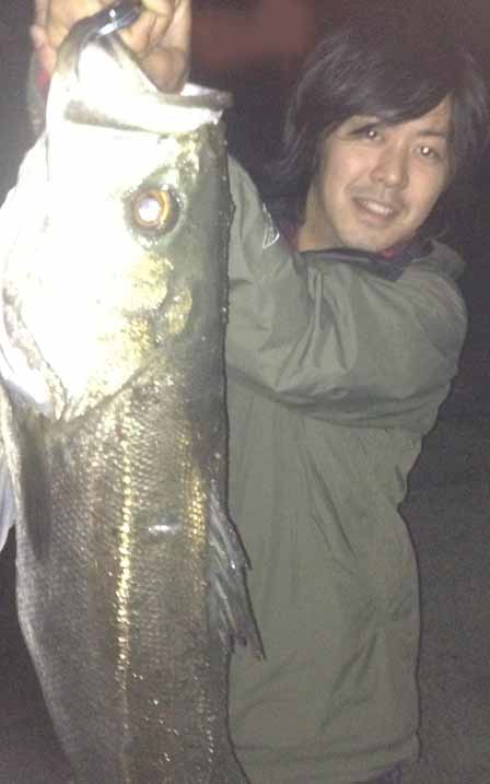 シーバス爆釣の向こう側