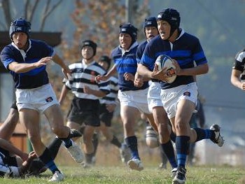 今更ながらシイラとはなんぞや?