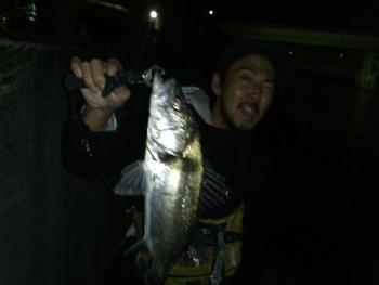 どっちゃでもいいんだけどね