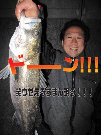 史上最長!珍しい試み コメントの返事を記事に