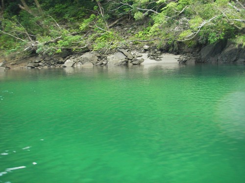 屋久島・安房川の川遊び?