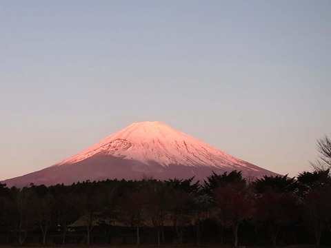 紅富士♪