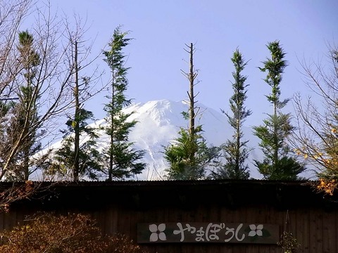 雰囲気のgood!の看板です♪