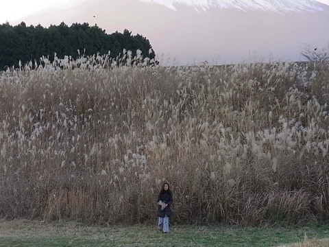 二日目の朝はこの場所で撮りました。
