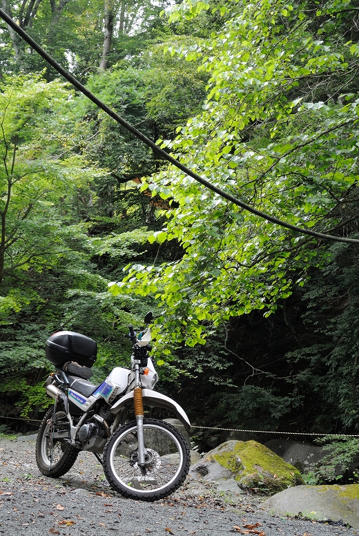 フルバンク停車 道志の森デイキャン