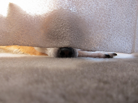 ふわぁぁぁ