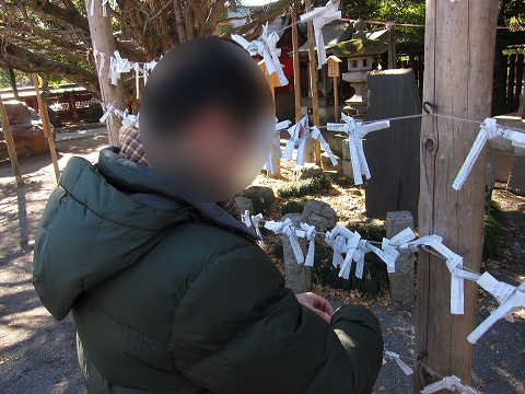 お正月の雑記