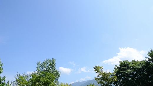 ぶどう 再び